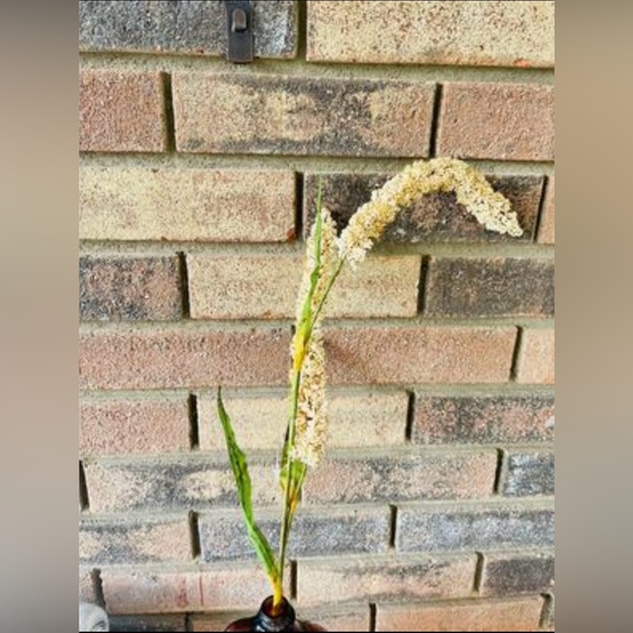 *Cream Millet Stem, 30” Bundle of 3 - Picture 6 of 10